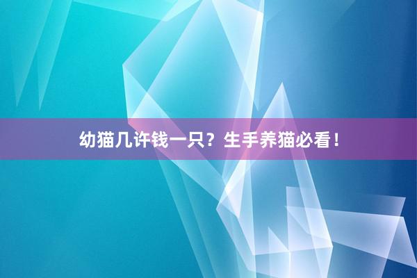 幼猫几许钱一只？生手养猫必看！