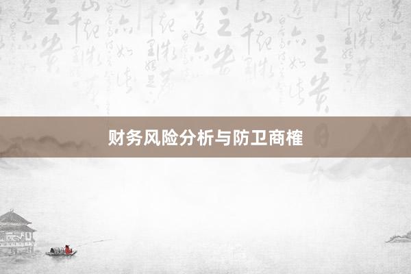 财务风险分析与防卫商榷